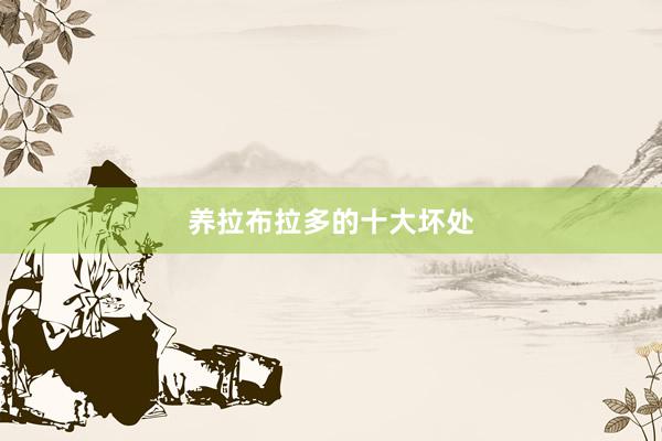 养拉布拉多的十大坏处